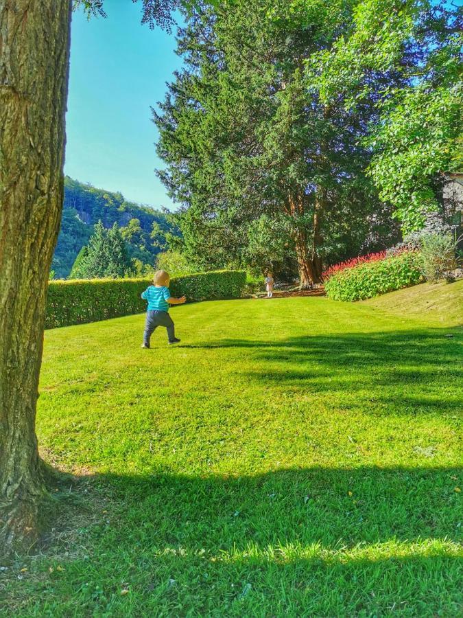 Stunning Symonds Yat Holiday Cottage Exteriör bild