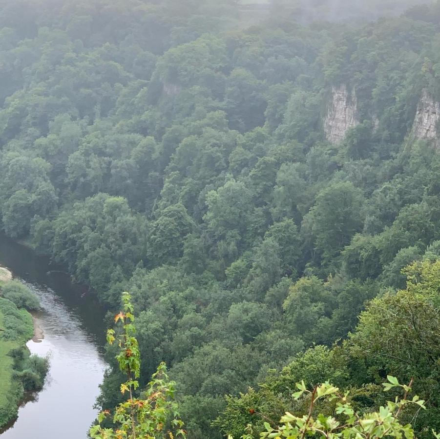 Stunning Symonds Yat Holiday Cottage Exteriör bild