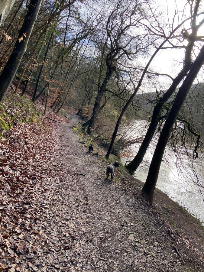 Stunning Symonds Yat Holiday Cottage Exteriör bild